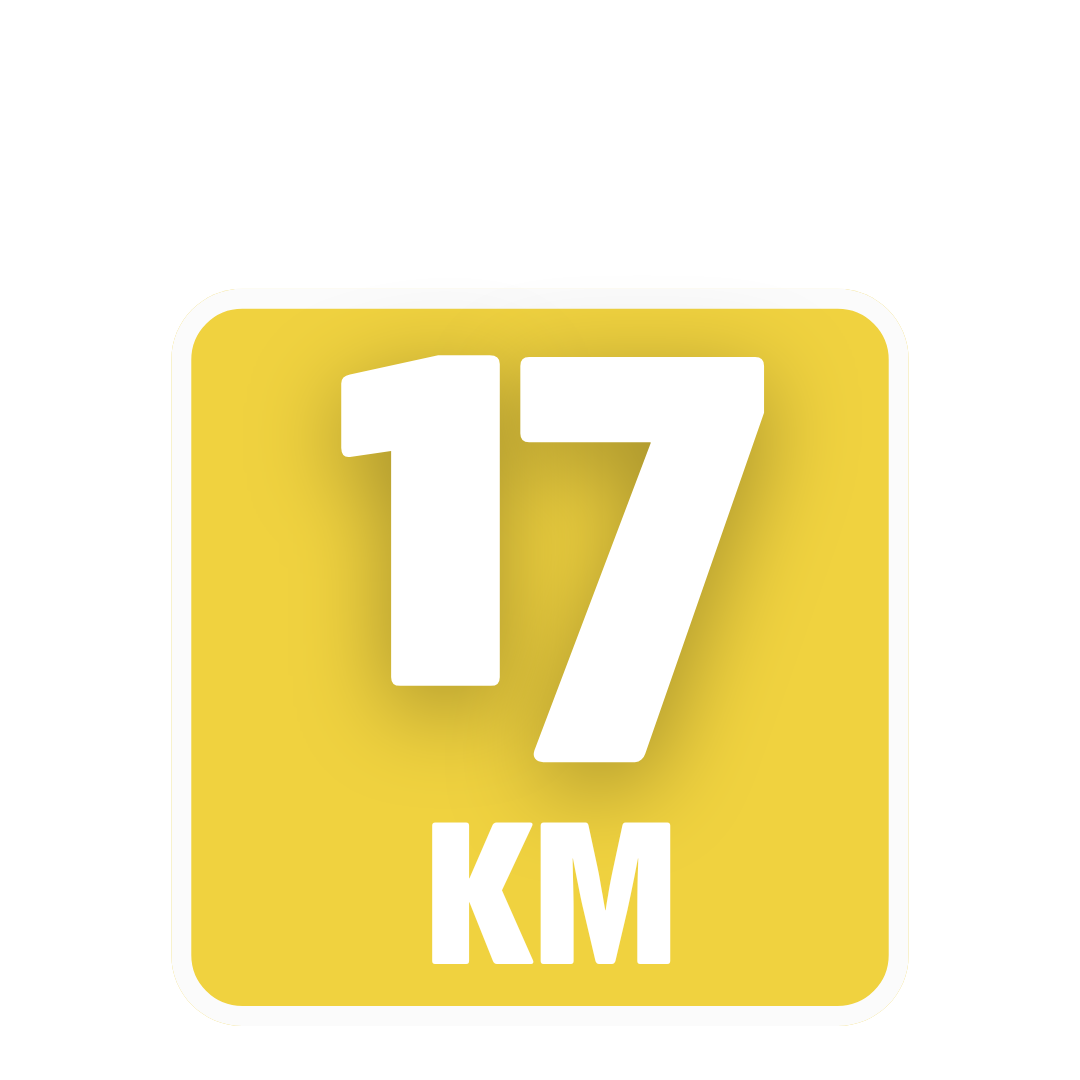 Trenkturas Alytuje'25: Auksinis žygis meilės mieste