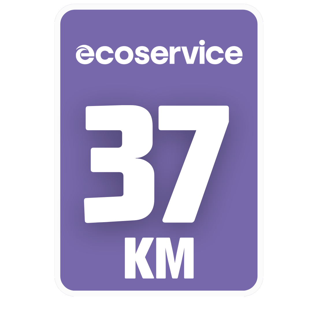 Trenkturas Alytuje'25: Auksinis žygis meilės mieste