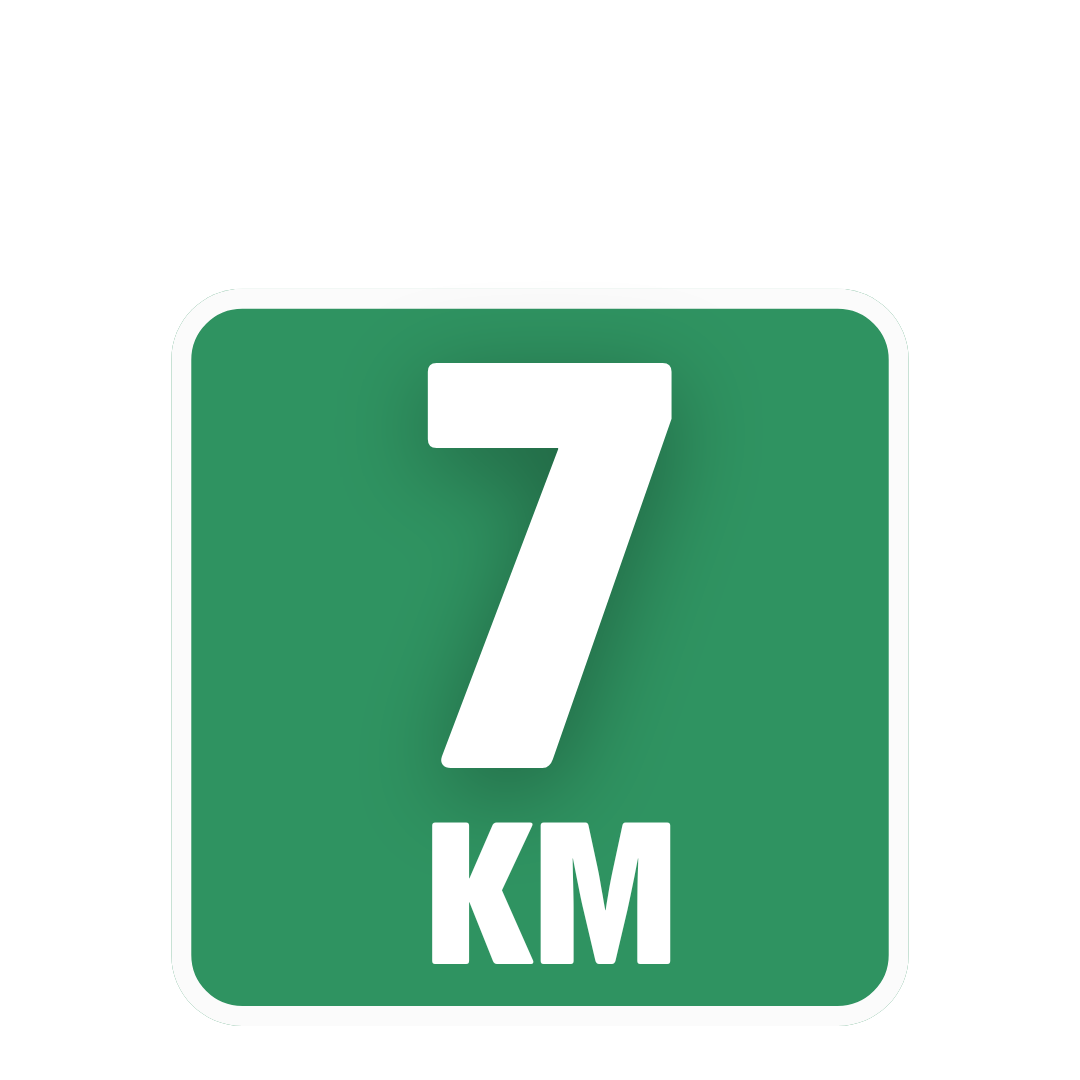 Trenkturas Alytuje'25: Auksinis žygis meilės mieste